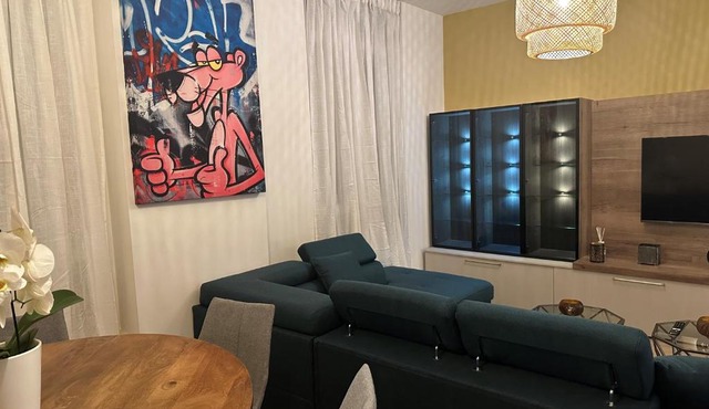 LA TORNADE Villa roof top hypercentre Vichy