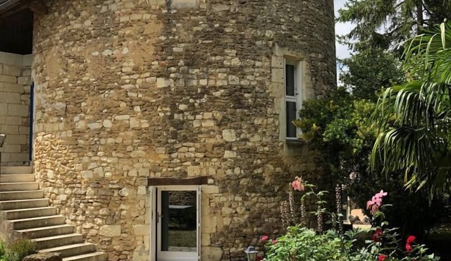 La Tour du Logis - Saint-martin-la-pallu