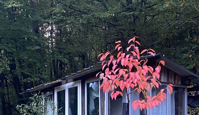 La Verrière au Milieu du Verger