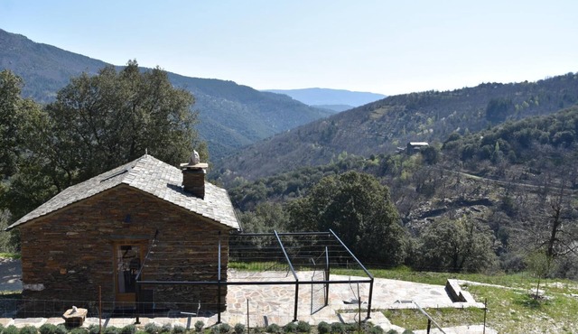 La Vigne - SAINT MARTIN DE LANSUSCLE