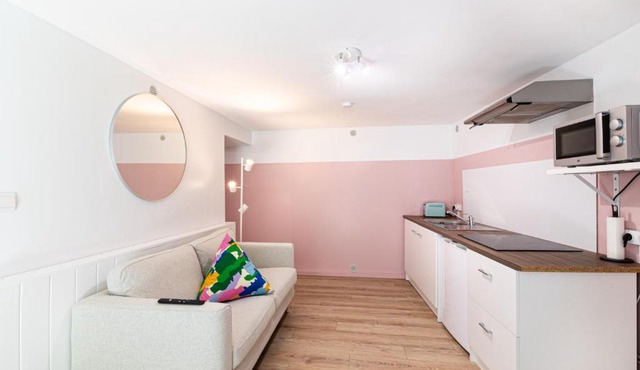 La vie en rose - appartement cosy - centre ville