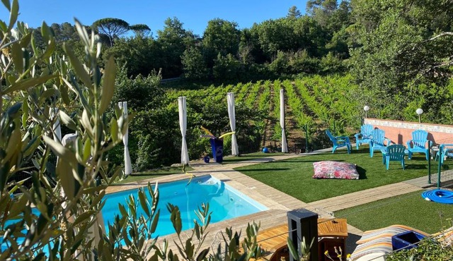 La Vie Est Belle En Provence