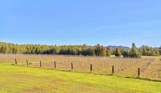 La Vigna Function and Wedding Accommodation the whole vineyard sleeps up to 40