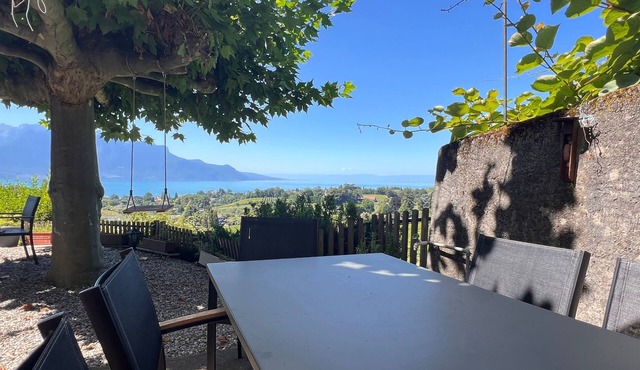 La Vigne - 3.5 Zi Apt mit grosser Terrasse