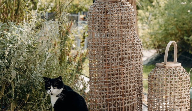 La Villa d'Hélène Chambres d’hôtes et Appartements-Cluses