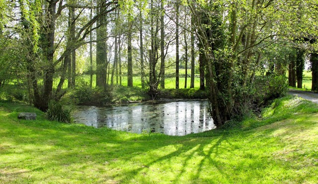 La Voisinière no. 3 by Interhome