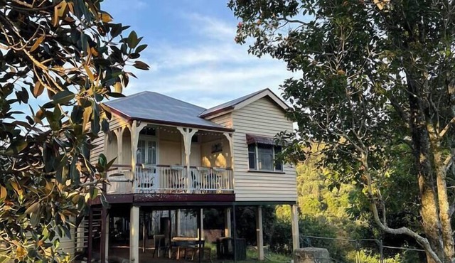 Laceys Creek Homestead & Vineyard