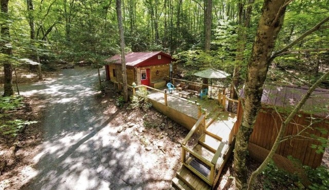 Ladybird's Lodge - dog friendly