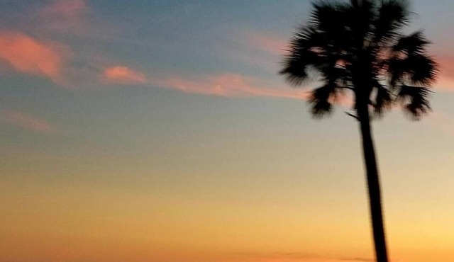 Lagniappe "a little something extra" on the Gulf