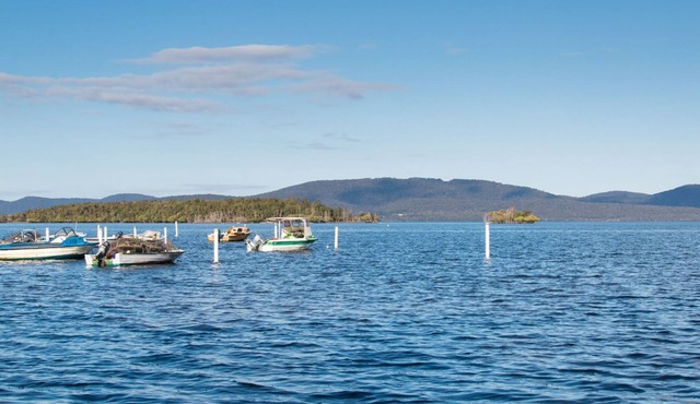 Laguna house just 100 metres from Wallis lake