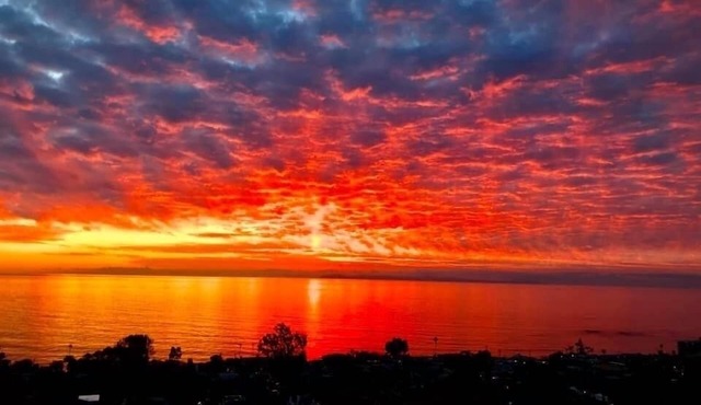 Laguna's Hidden Gem Penthouse 2 BEDROOMS, DEN, Oceanview.Quality Beds, 4 guests