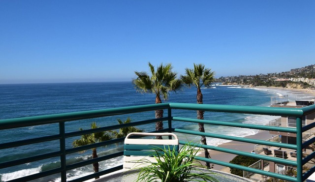 Laguna Surf