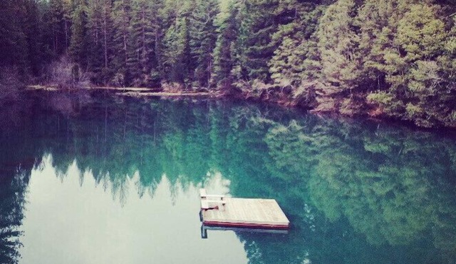 Lagunita- lakeside cabin w/2 bunkhouses & HOT TUB! $300. Per night for all 3!