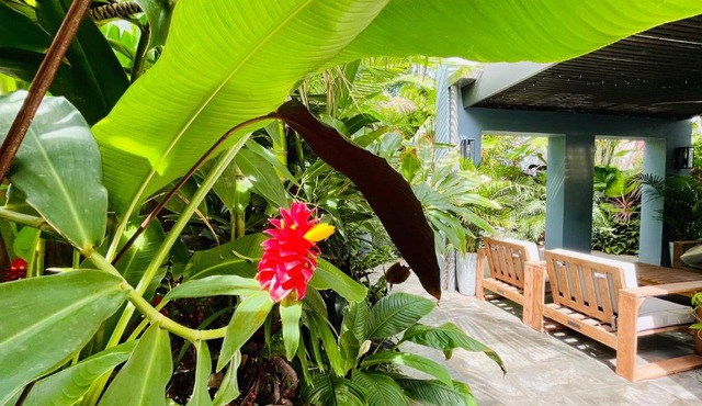 Lahania Lux Beach Villa