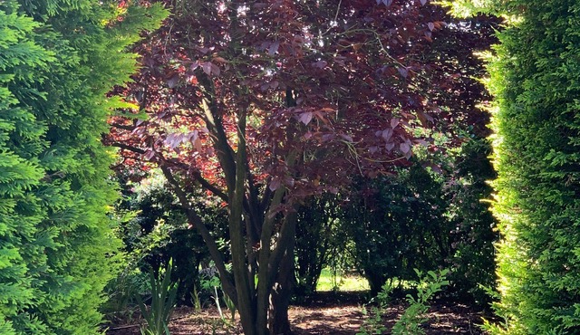 Lahinch - The Old Hay Shed