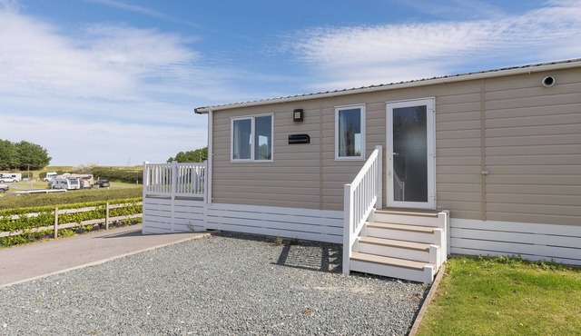 Laidback Coastal 3 (Pet)