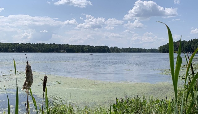 Lake Alice Duck Bay Chalet, Atv/Utv Snowmobile Hunting Paradise!