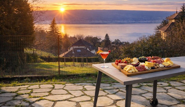 Lake Annecy view chalet in Menthon St Bernard near lake & village garage+2parkings