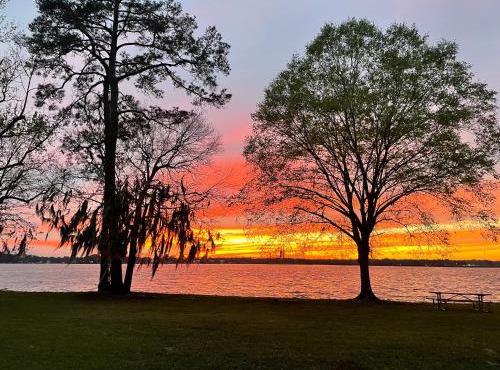 Lake Blackshear Resort Golf Club