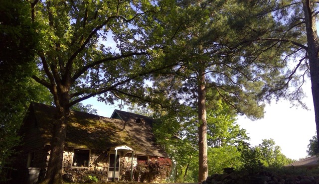 Lake Cabin Minutes from Oaklawn Race Track and Casino, Hiking Trails, Downtown
