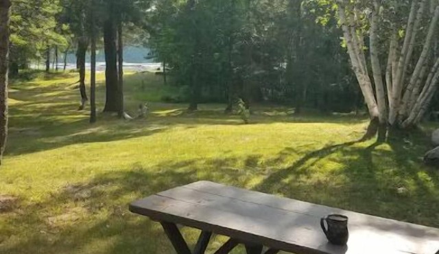 Lake cabin surrounded by nature and peacefulness