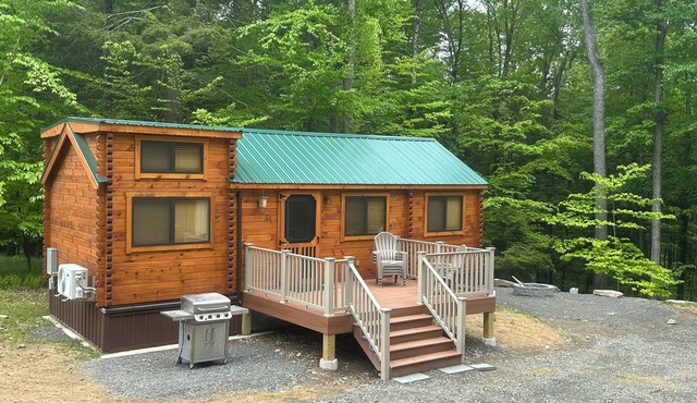 Lake Carey Cabin within walking distance to Old Carter Barn with lake access