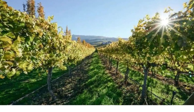 Lake Chelan/Manson Studio #3 w/valley & mtn views