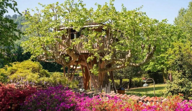 Lake Como Dream Treehouse