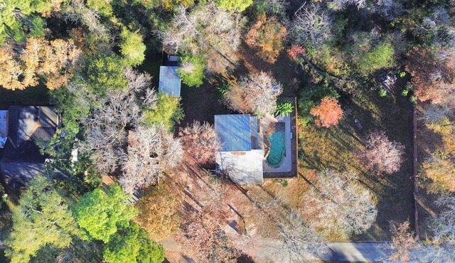 Lake Conrore Pool Oasis with Tiny Home