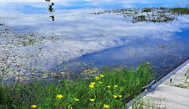 Lake Cottage, 1 mile to boat ramps & Big Jims Oyster Bar.