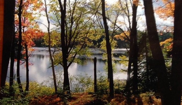 Lake Cottage Northern Wisconsin, Mercer