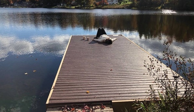 Lake Cottage Viola - All Season Friends & Family Getaway!