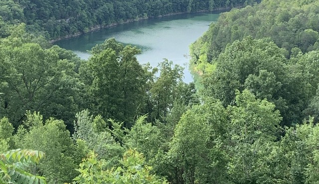 Lake Cumberland Ohana. Kid friendly, best views, hot tub.