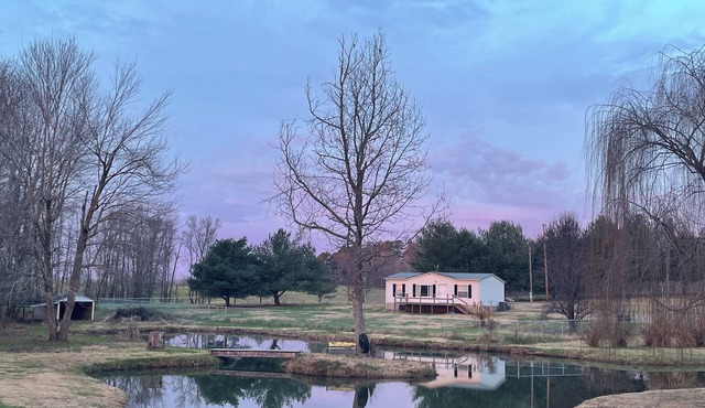 Lake Cumberland Pond View