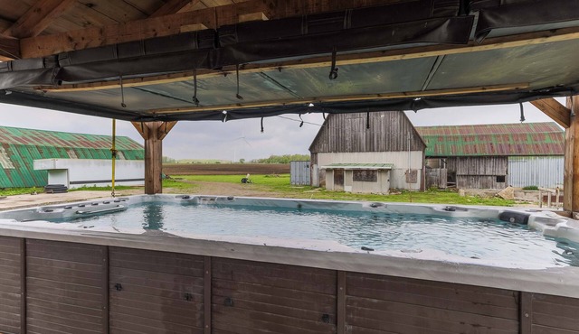 Lake Erie Manor-5800 sq. ft. with SwimSpa-short drive to the beach,