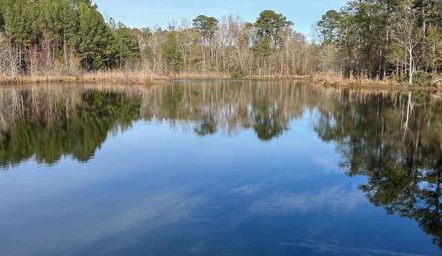 Lake Escape! This secluded house on a private lake is the perfect get away.