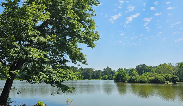Lake Escape waterfront cabin