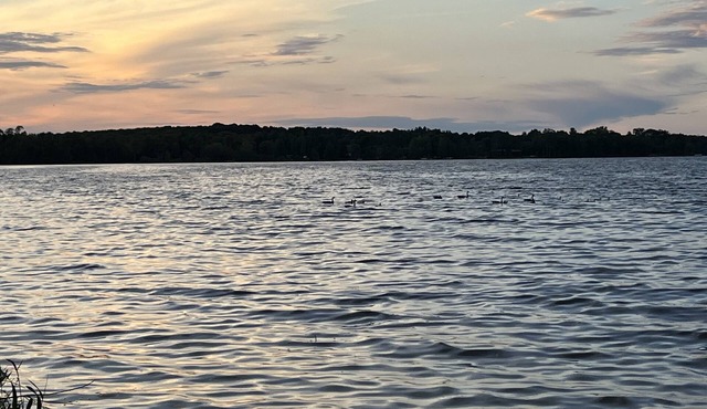 Lake Facing 3 bedroom 1.5 Bath Cabin near amazing UP destination Grandview Cabin
