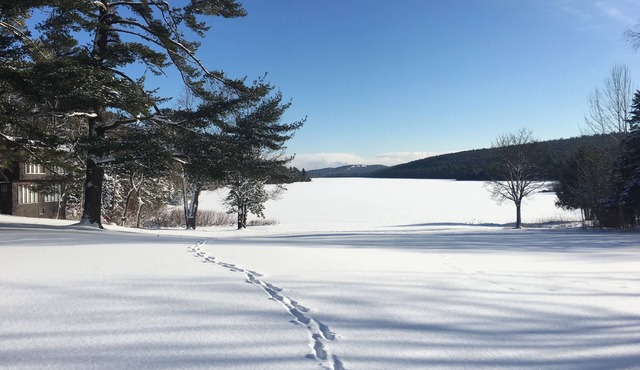 Lake Fanny Hooe Resort-2 Bed With Balcony #12 1 Bedroom Hotel Room by RedAwning