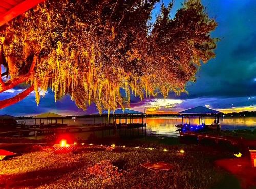 Lake Francis Lily Pad