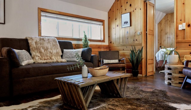 Lake Front Cabins