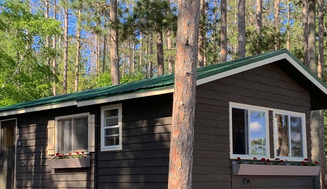 Lake front cottage - 2024 Specials Now! Beach and spectacular views!