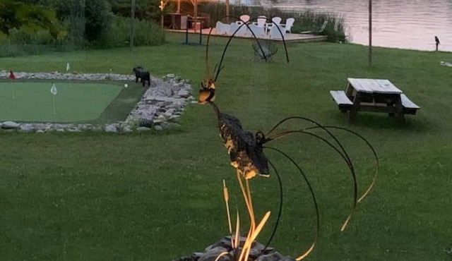 Lake Front Cottage for all Seasons