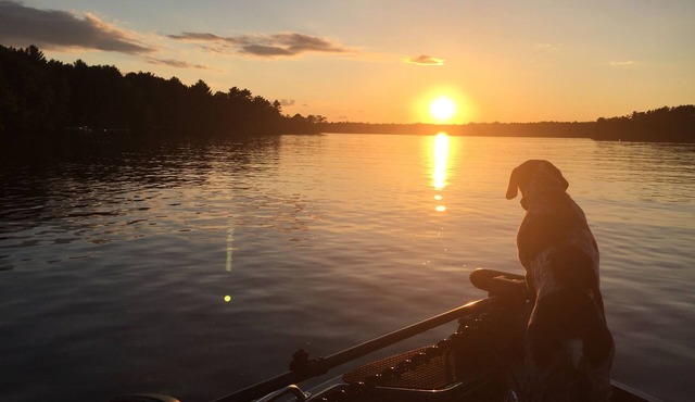 Lake front cottage on beautiful quiet setting on Lake Holcombe
