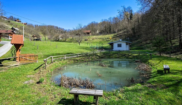 Lake front home in Andrasevec with WiFi