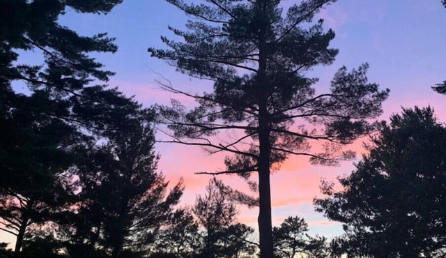 Lake Front: New Cottage Charmn