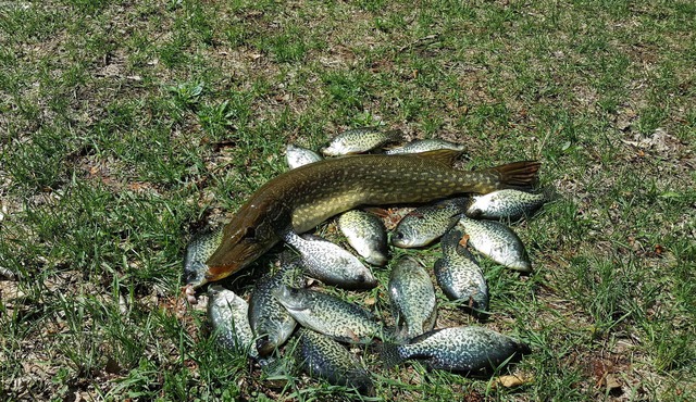 Lake front summer home w >150' of shore on spring-fed Otter Lake of the Chain