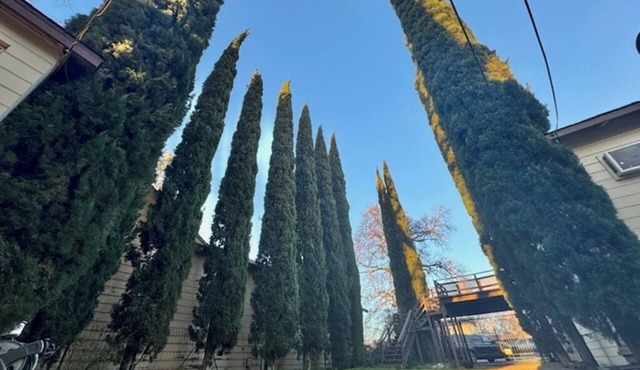 Lake front unit #6 right by the water