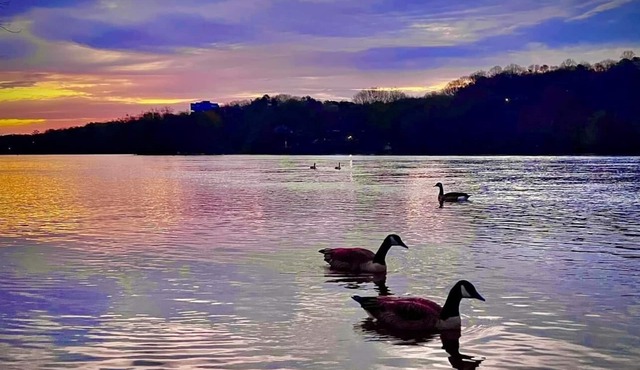 Lake Guntersville waterfront lake house Snug Harbor- Great fishing