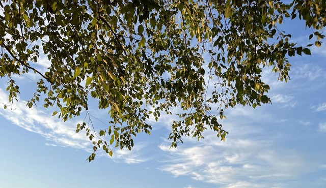 Lake Hopatcong Bungalow with Sunset Views, 2BR + Loft